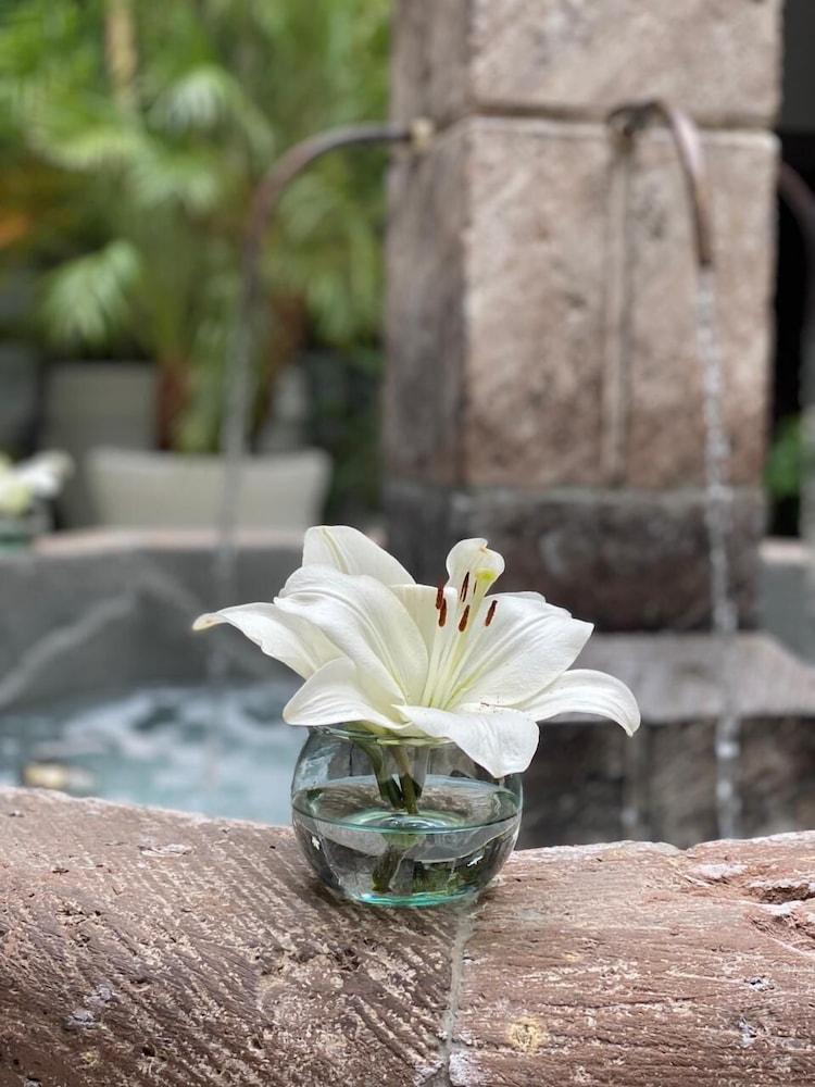 Hotel Boutique Hacienda Guadalupe 圣米格尔－德阿连德 外观 照片