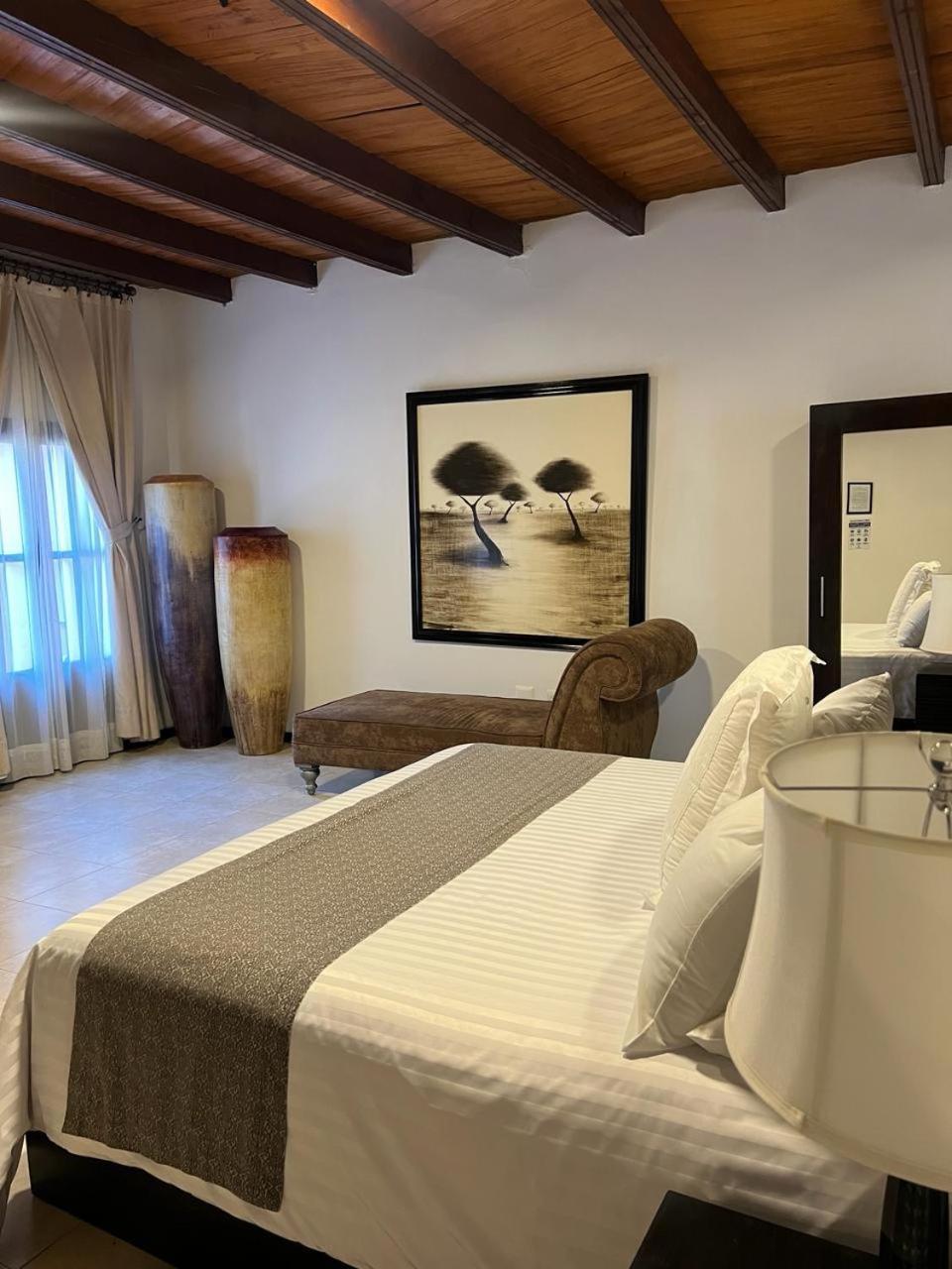 Hotel Boutique Hacienda Guadalupe 圣米格尔－德阿连德 外观 照片